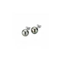 Basics Ohrstecker