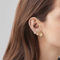 Desert Rose Ohrstecker