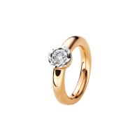 Alpen Ring