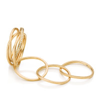 Saturn Ring