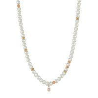 Delight Collier