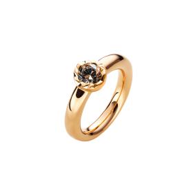 Schmuckwerk Alpen Ring GR414-RG-BB