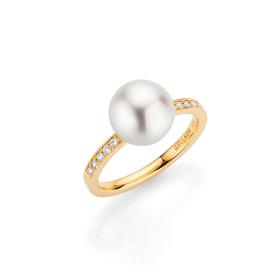 Gellner Young Basics Ring 2-81623-05