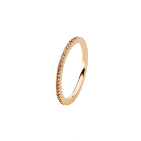 Schmuckwerk Alpen Memoirering GT705-RG-BB