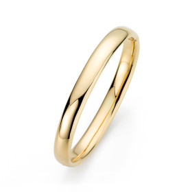 Clioro Armreif mit Scharnier, poliert 55061.70090