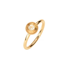 Schmuckwerk Glasklar Ring DR1077-RG-GK