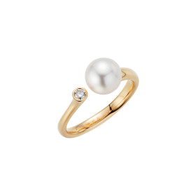 Gellner H2O Ring 5-22018-11