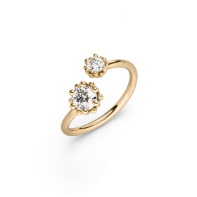 Schmuckwerk Edelweiß Ring FR225-GG